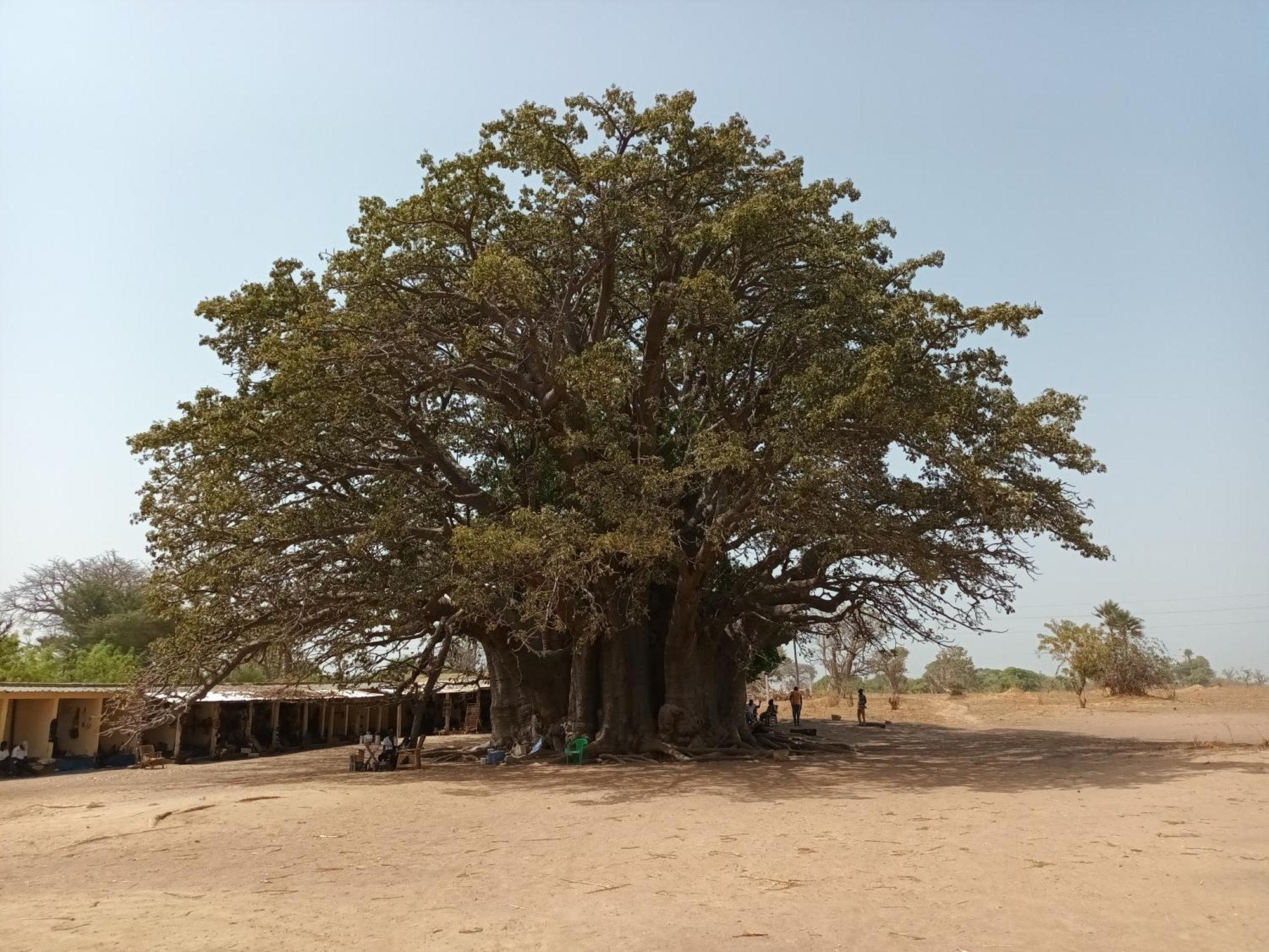 L'Eden Lägenhet Saly Portudal Exteriör bild
