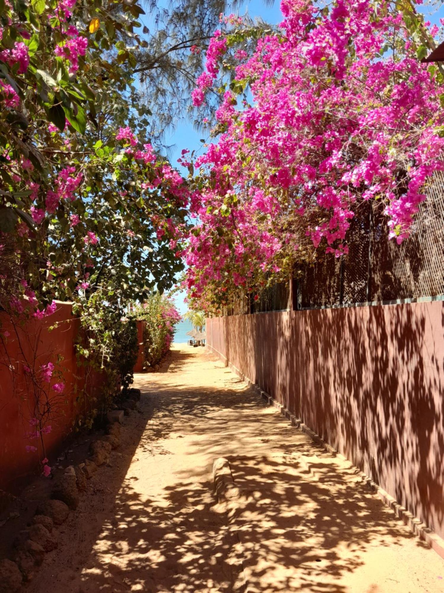 L'Eden Lägenhet Saly Portudal Exteriör bild